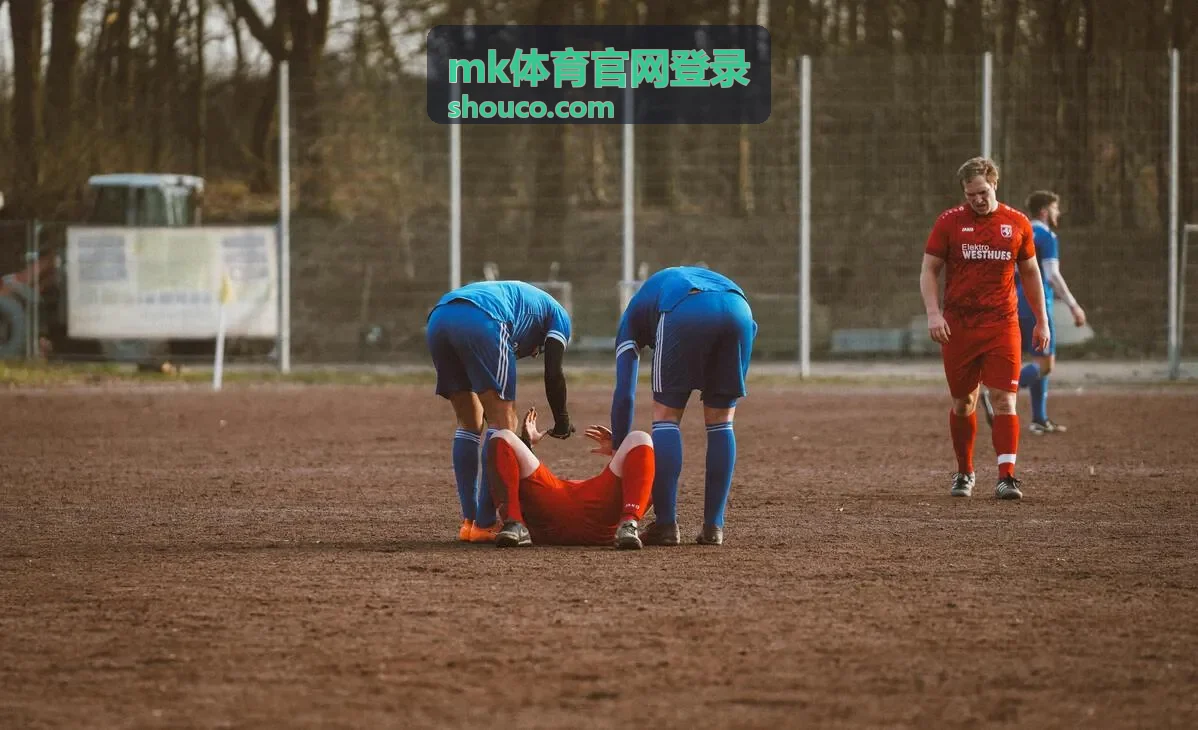 mk体育官网登录入口界面示意